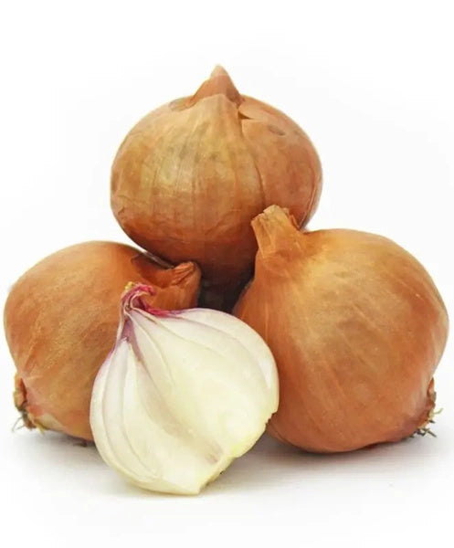 Cebula szalotka ekologiczna (0,5 kg) (EKO)