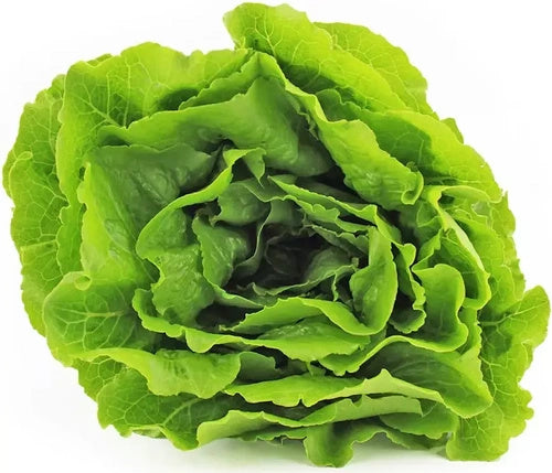 Sałata rzymska ekologiczna polska (0,4 kg) (EKO)
